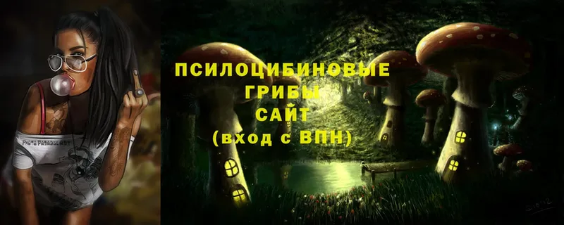 Галлюциногенные грибы MAGIC MUSHROOMS  Волхов 